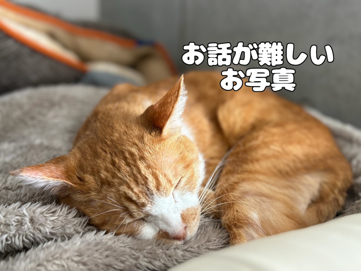 愛するペットとメッセージ交換できます うちの子の気持ち、ちゃんと知っていますか？ イメージ3