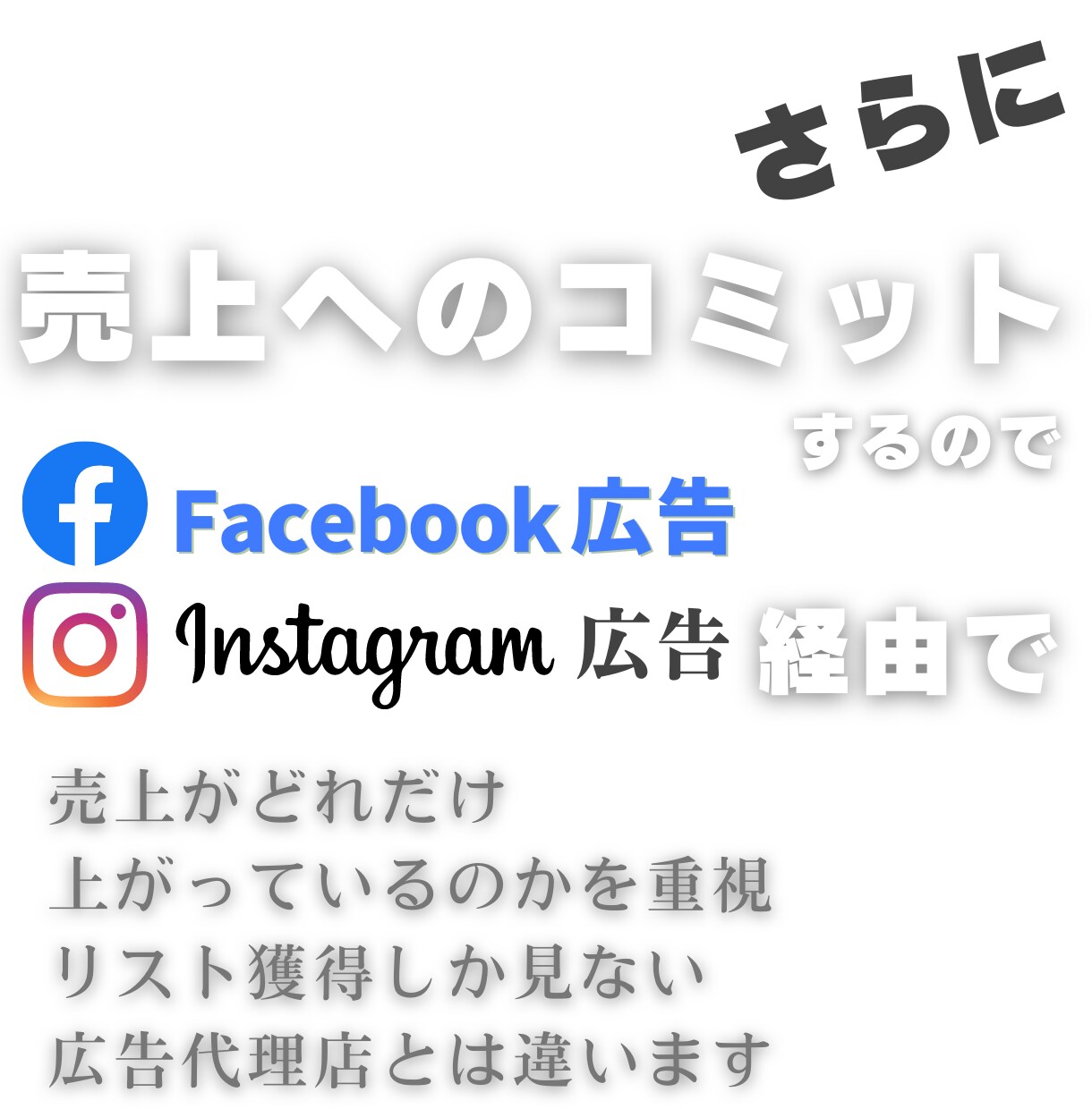 Facebook広告の運用代行します 【全て視る】現役マーケター こだわりの運用 イメージ7