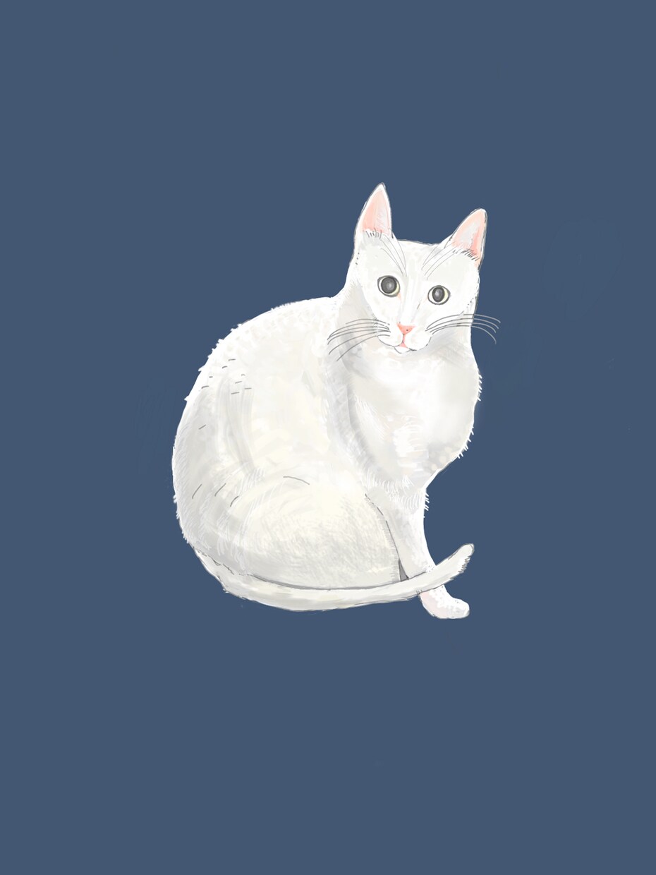 ペットのイラストを描きます 犬・猫・小鳥などあなたのペットをおしゃれに描きます イメージ3