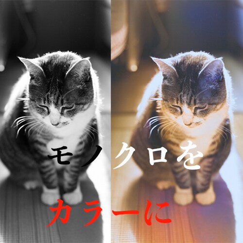 白黒・モノクロ写真をカラーに！一部のみもできます 懐かしいあの写真も鮮やかなカラー写真に！ イメージ1