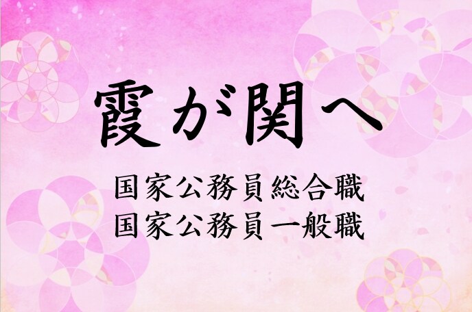 公務員試験の進路・学習相談にお答えします 国家公務員総合職合格者がアドバイスします。 イメージ1