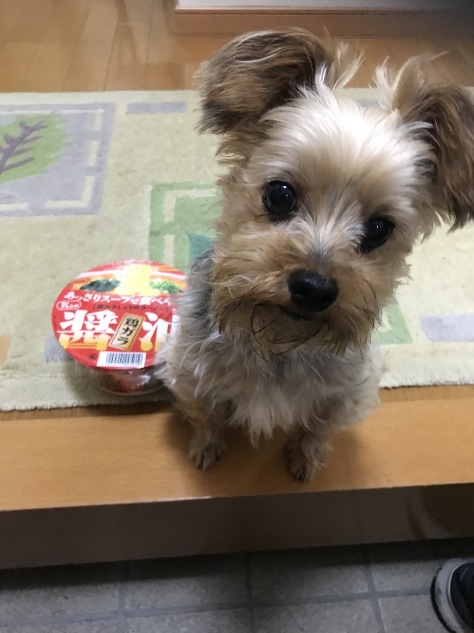 社会保険労務士試験の合格のノウハウ教えます 社労士受験生YouTuberの社労人が教えます イメージ2