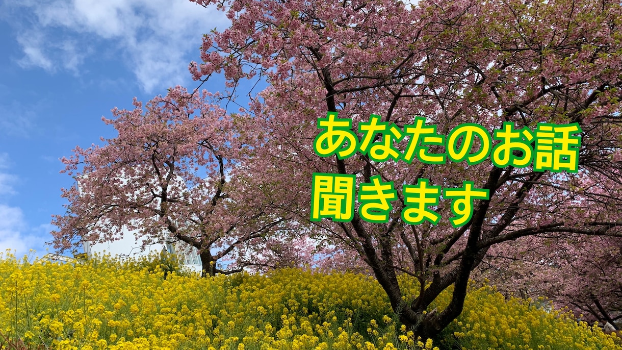 30分チャットし放題。悩み、愚痴なんでも聞きます 愚痴や恋愛相談なんでも聞きます イメージ1