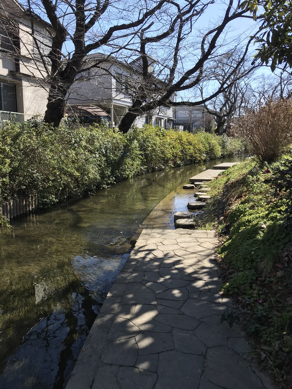 最大10往復トークルームで占いカウンセリングします 【そのままの自分】で『居てよしッ！』と思えるように♪ イメージ1