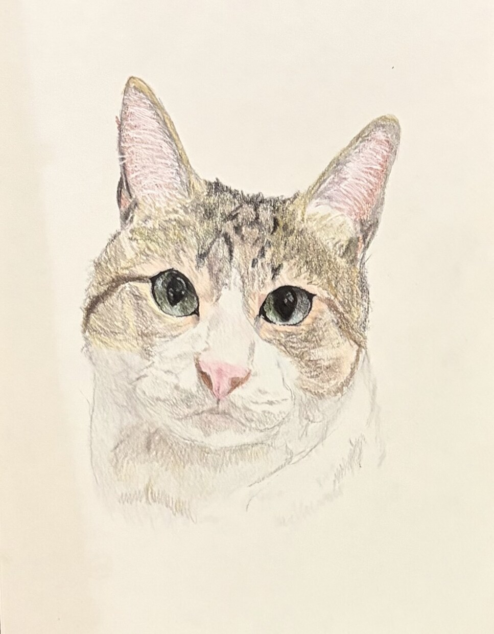 お家の猫ちゃんの似顔絵描きます 色鉛筆で丁寧に仕上げます！！お顔中心に描かせて戴きます。 イメージ6