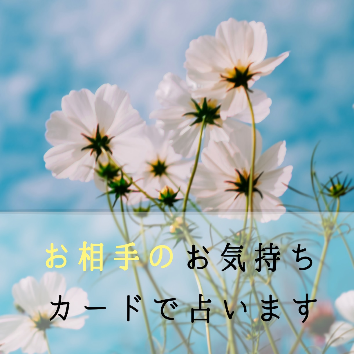 夢女子/夢男子さん向け！お相手のお気持ちを占います 次元違いの方の恋を応援しています！ イメージ1
