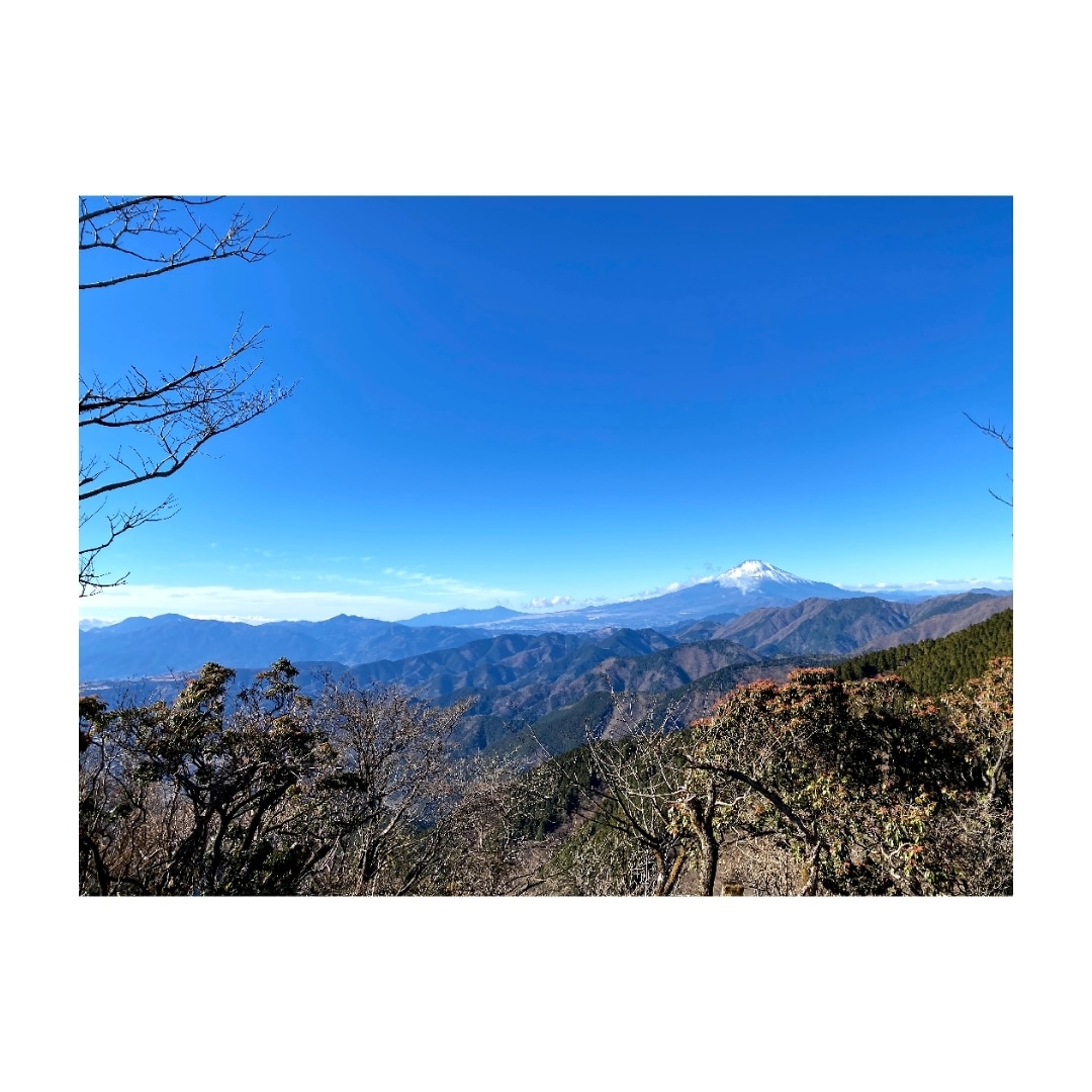 一人一人に最適な登山計画を提案します 初心者、女性にも対応可！植物研究者が提案するステキ山行！ イメージ3