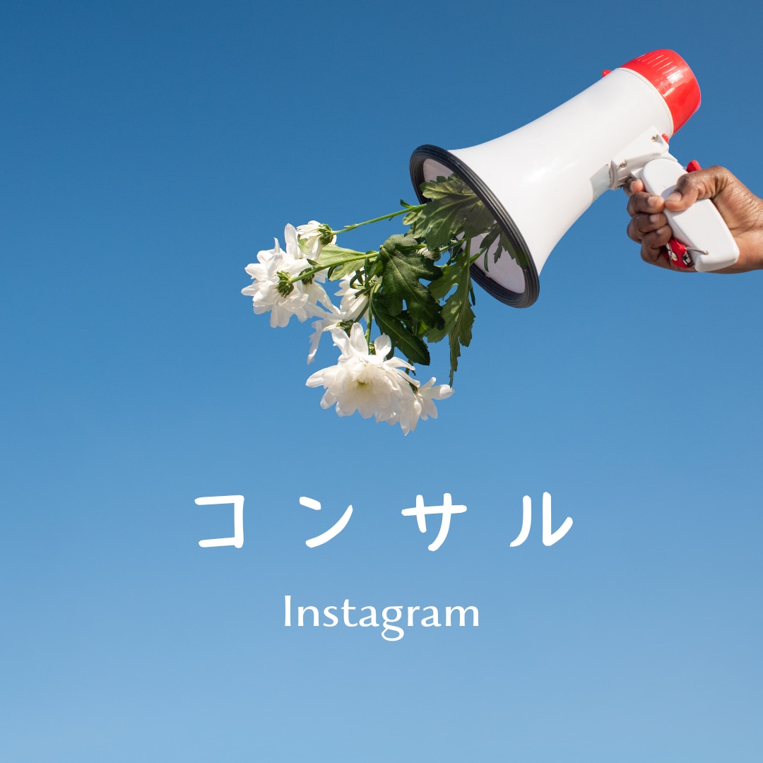 インスタコンサルを実施いたします 初心者向け！SNSマーケティング会社勤務の私がサポート！ イメージ1