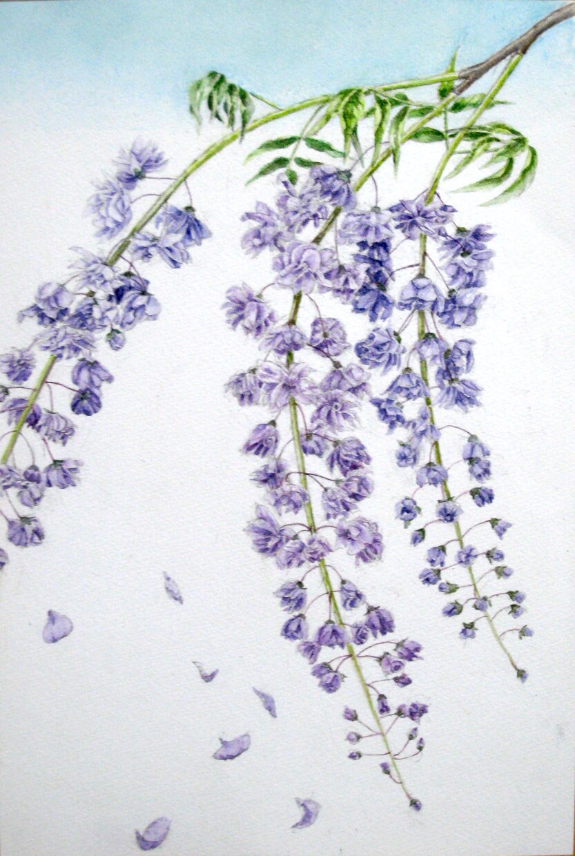 お気に入りの花の写真を水彩画にします あなたの好きな花を作品にして飾りませんか？ イメージ5