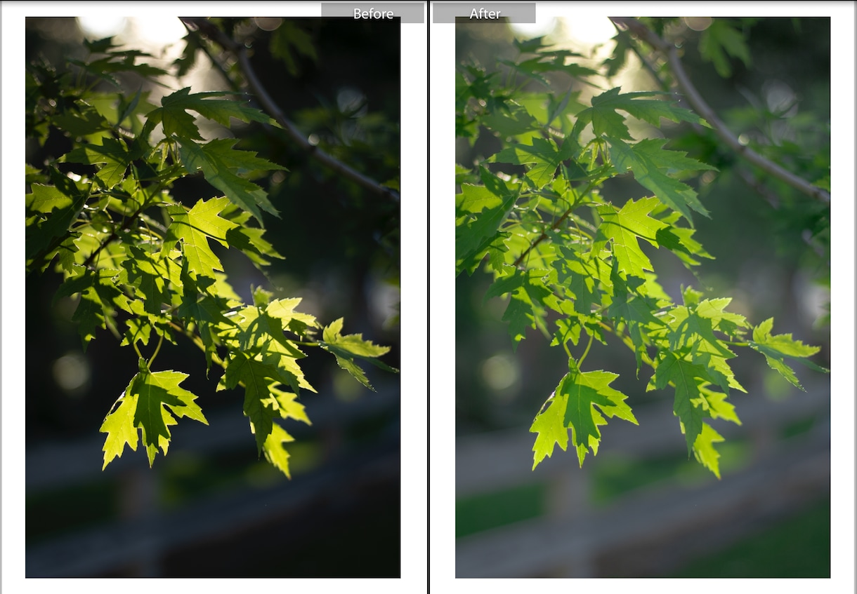 Lightroomで写真をナチュラルに編集します どんな写真も魅了的にLightroom Classicで イメージ9