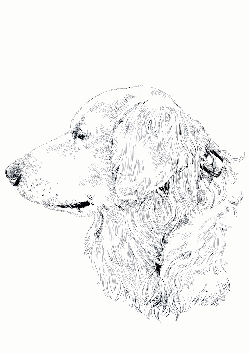 どんな動物のペットのスケッチを描きます 犬・猫から小動物・爬虫類まで！ イメージ2