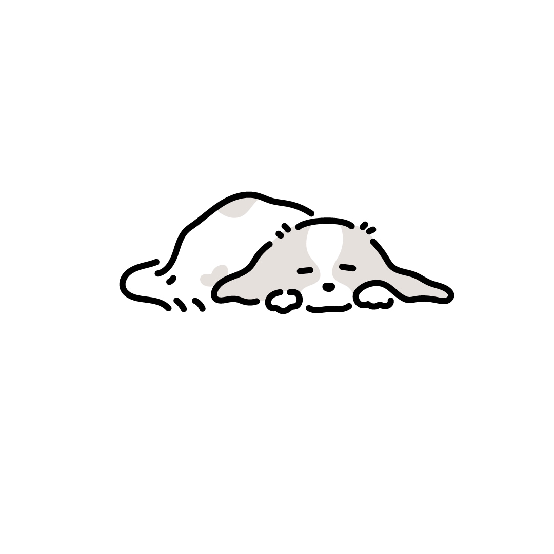 ペットや、お好きな動物をシンプルに描きます ◎シンプルに、ゆるく、特徴を捉えた動物の似顔絵を描きます！ イメージ4