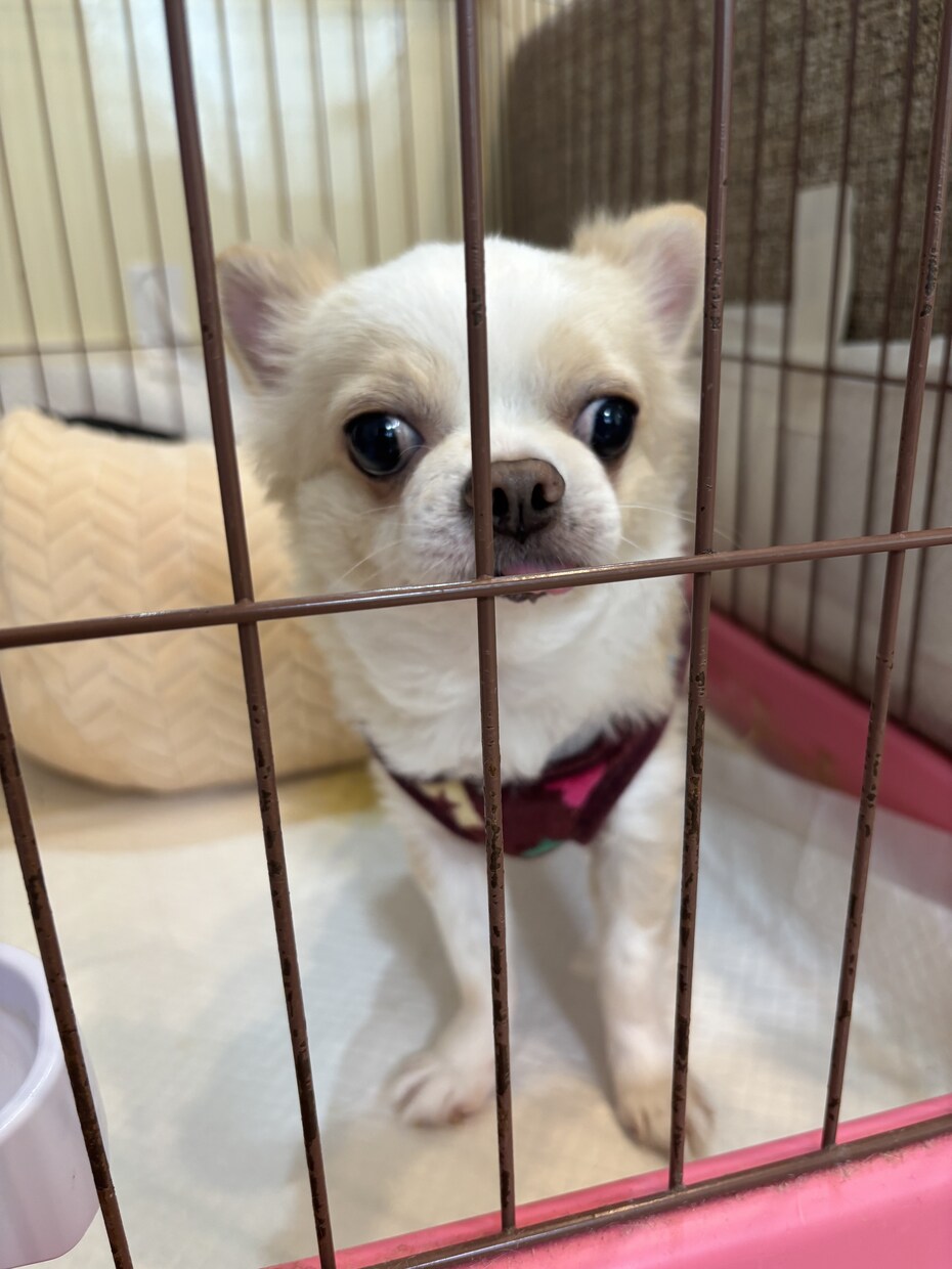 まずはお気軽に。悩みの解決の為にお話聞きます 短時間からでも対応致します。思っていることをお伝えください。 イメージ1