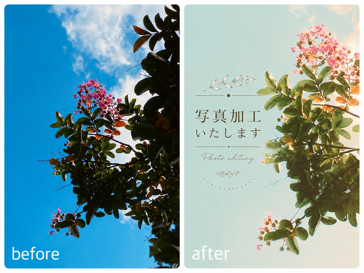 SNSで映えるやさしい写真に仕上げます 世界観を大切に、一枚一枚丁寧に仕上げます。 イメージ1