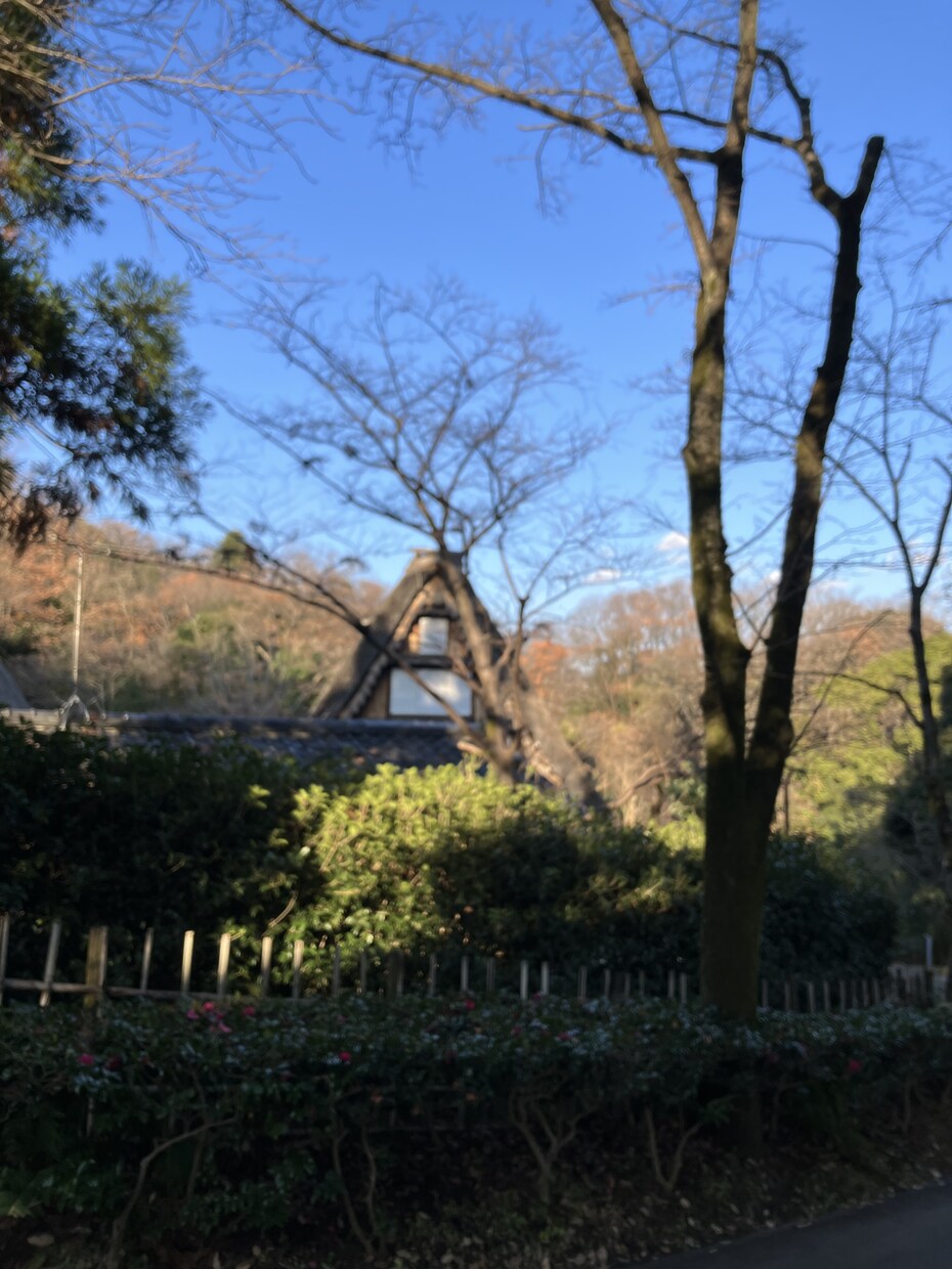 占います 霊感霊視で恋愛、仕事、家庭を占い、メッセージでお答え致します イメージ1