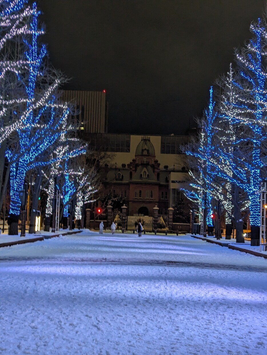 冬の札幌の夜景をお届けします 今しか見れない札幌の夜景です。 イメージ9