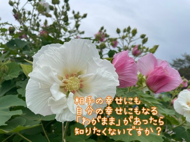 男心？そんなの気にしなくて良い！理由教えます 好かれるために、良い女にならなきゃ、結婚するには、、、 イメージ3