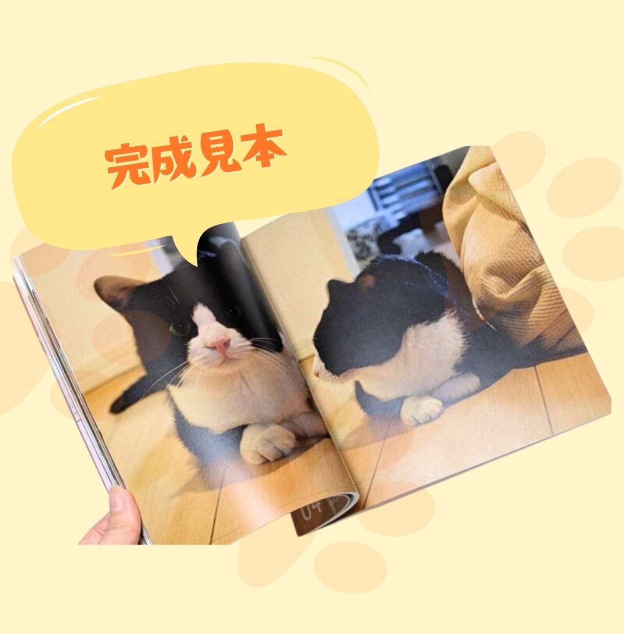 ペットの写真集（フォトブック）をつくります 写真を送るだけ！ペットの写真を本にしませんか？ イメージ4