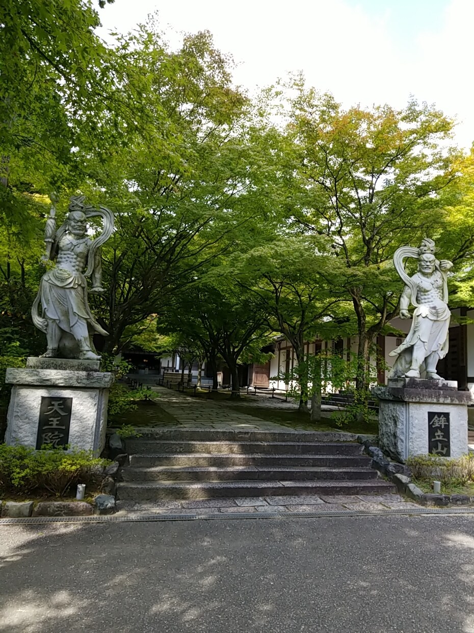 ワンコイン！姓名判断致します あなたの名前の持つ運気を伝えます。 イメージ3