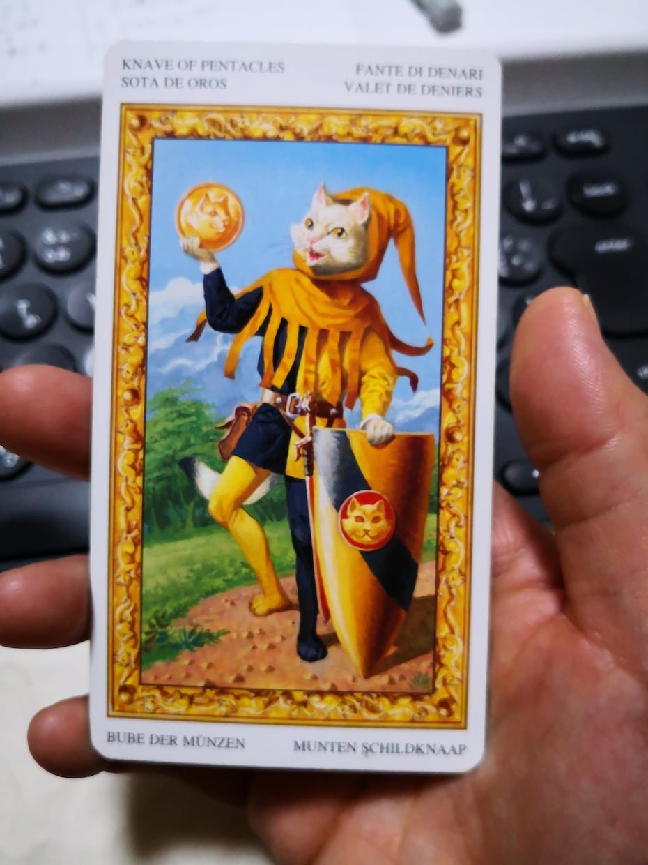 噛み砕きながらおしゃべりしながら鑑定します 人に話せないことでも、猫ちゃんタロットと、なんでも聞きます イメージ4