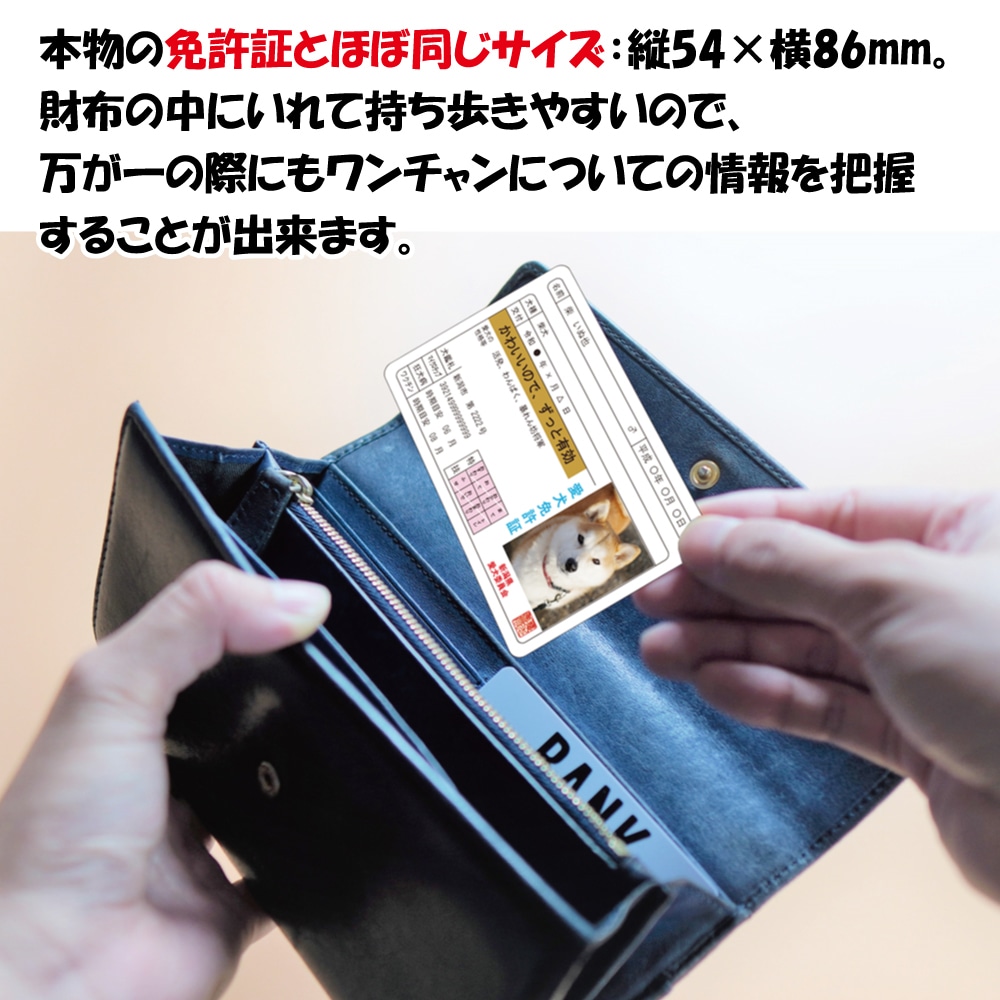 身分証情報を持ち歩く、可愛い愛犬免許証を作ります 本物の免許証とほぼ同サイズなので財布に入れて持ち歩きやすい♪ イメージ3