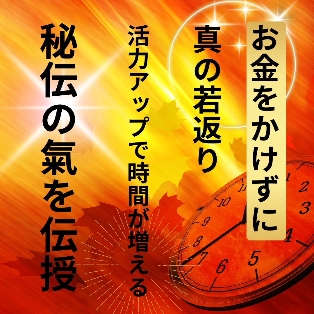 最強◆自分で秘伝の氣が使える様に！年齢逆行します 24時間を36時間で生きる感覚！活力復活する真のエイジレス イメージ1