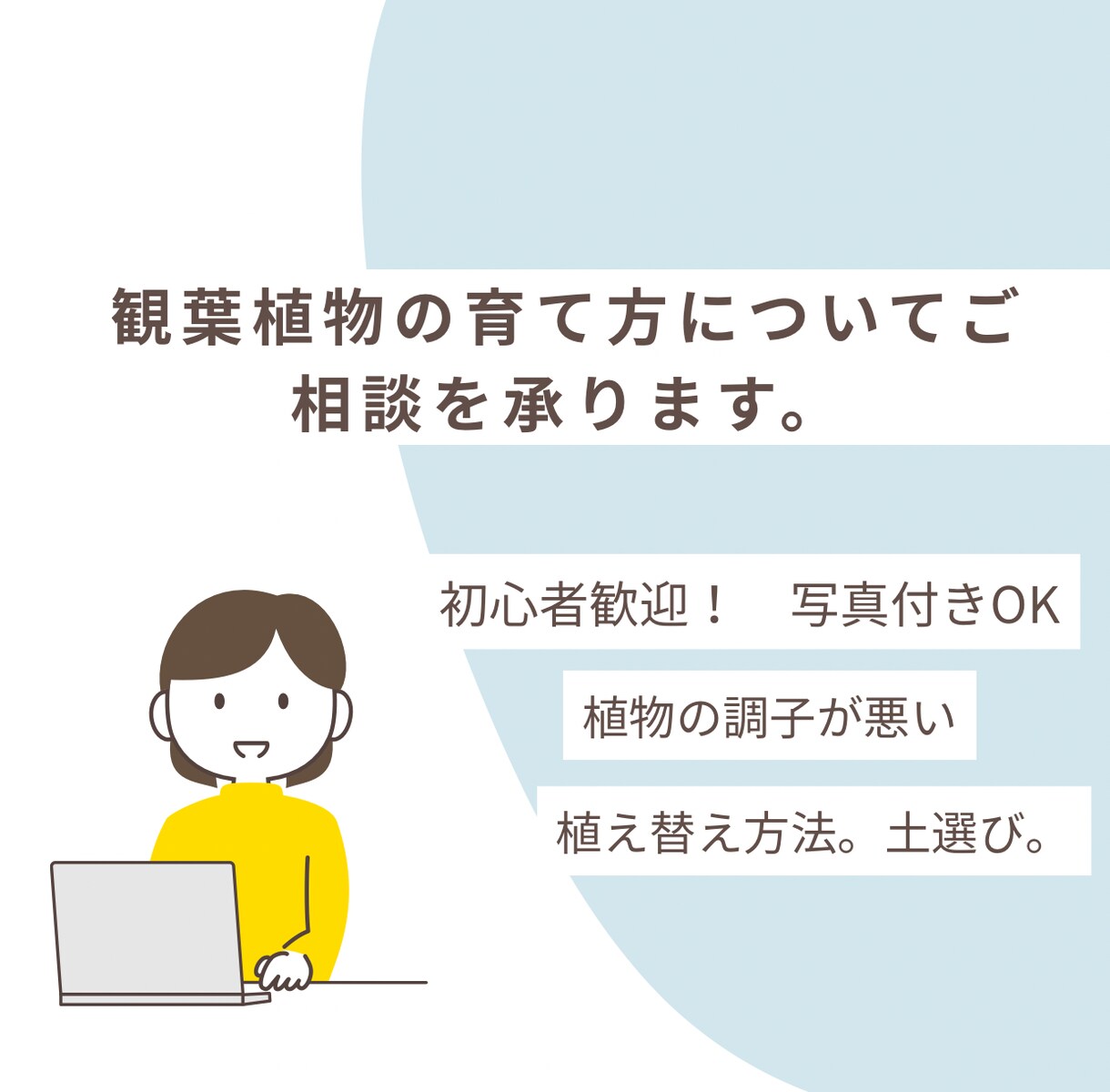 観葉植物が元気ない？原因と対処法をアドバイスします 写真付き相談OK初心者の方育て方・置き場所・水やり イメージ1