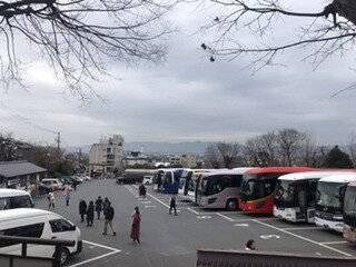 バス運転手、トラック運転手の転職相談をします バス20年以上(路線、観光、高速、ロケ)トラック10年経験者 イメージ1