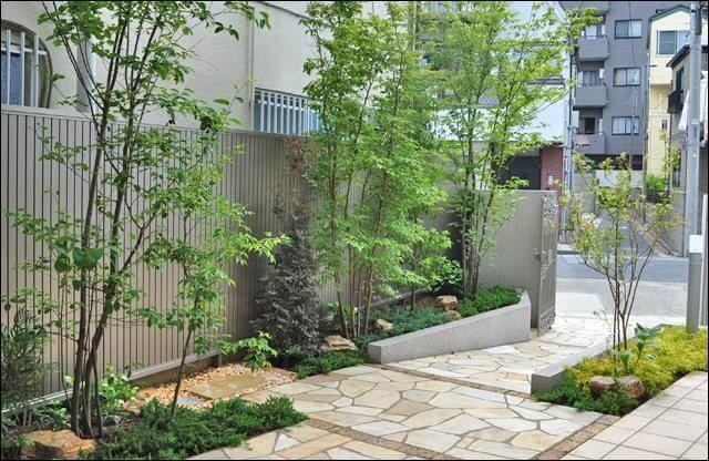 剪定の相場診断＆DIYアドバイスします プロの手で美しく。剪定の見積もり診断、写真で簡単に対応。 イメージ6