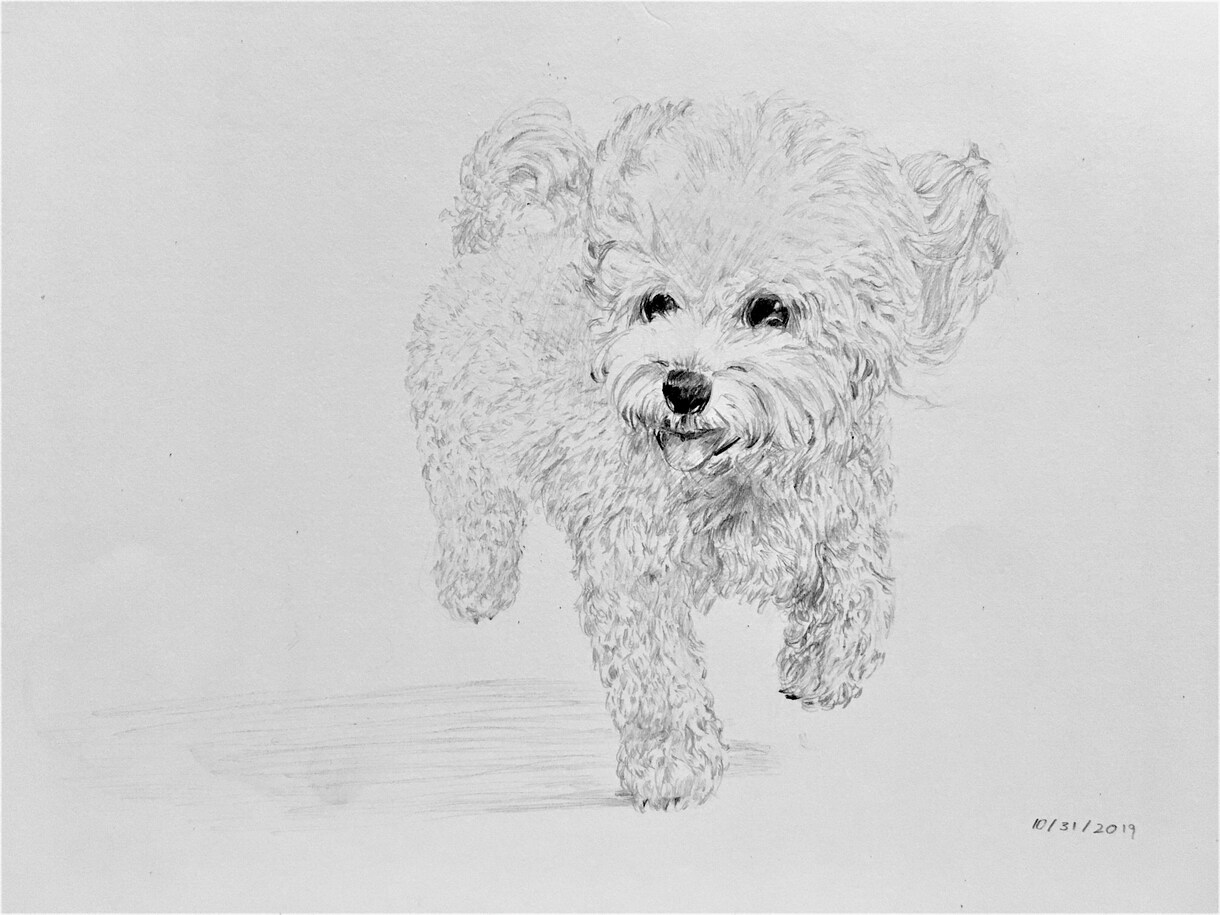 実績用低価格☆　かわいいペットのイラストを描きます 犬、猫、爬虫類、昆虫なんでも承ります。 イメージ2