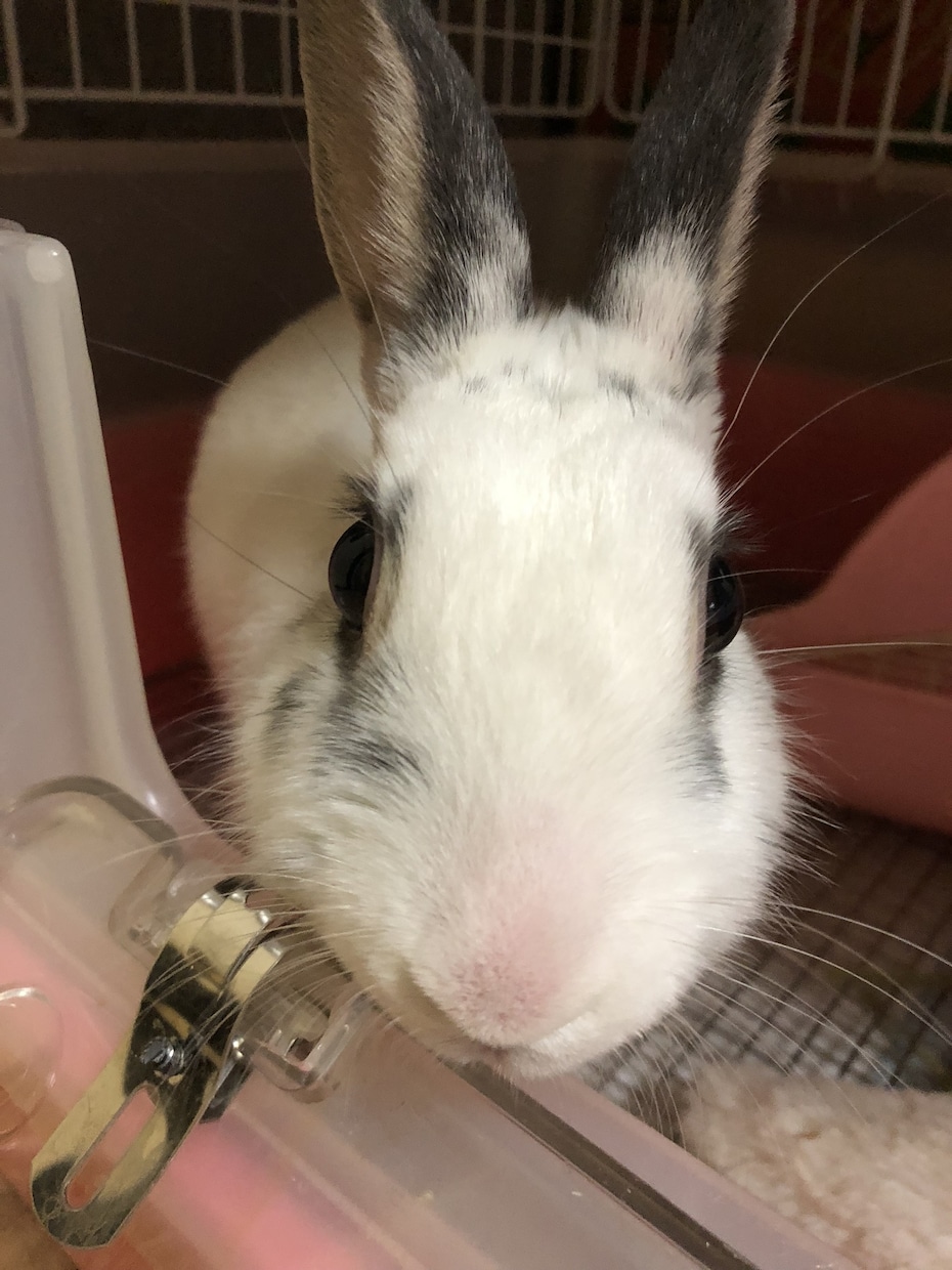 悩みが解決するまでおちからになります 自分は、変えられます。なりたい自分にゆっくり近すぎましょう イメージ1