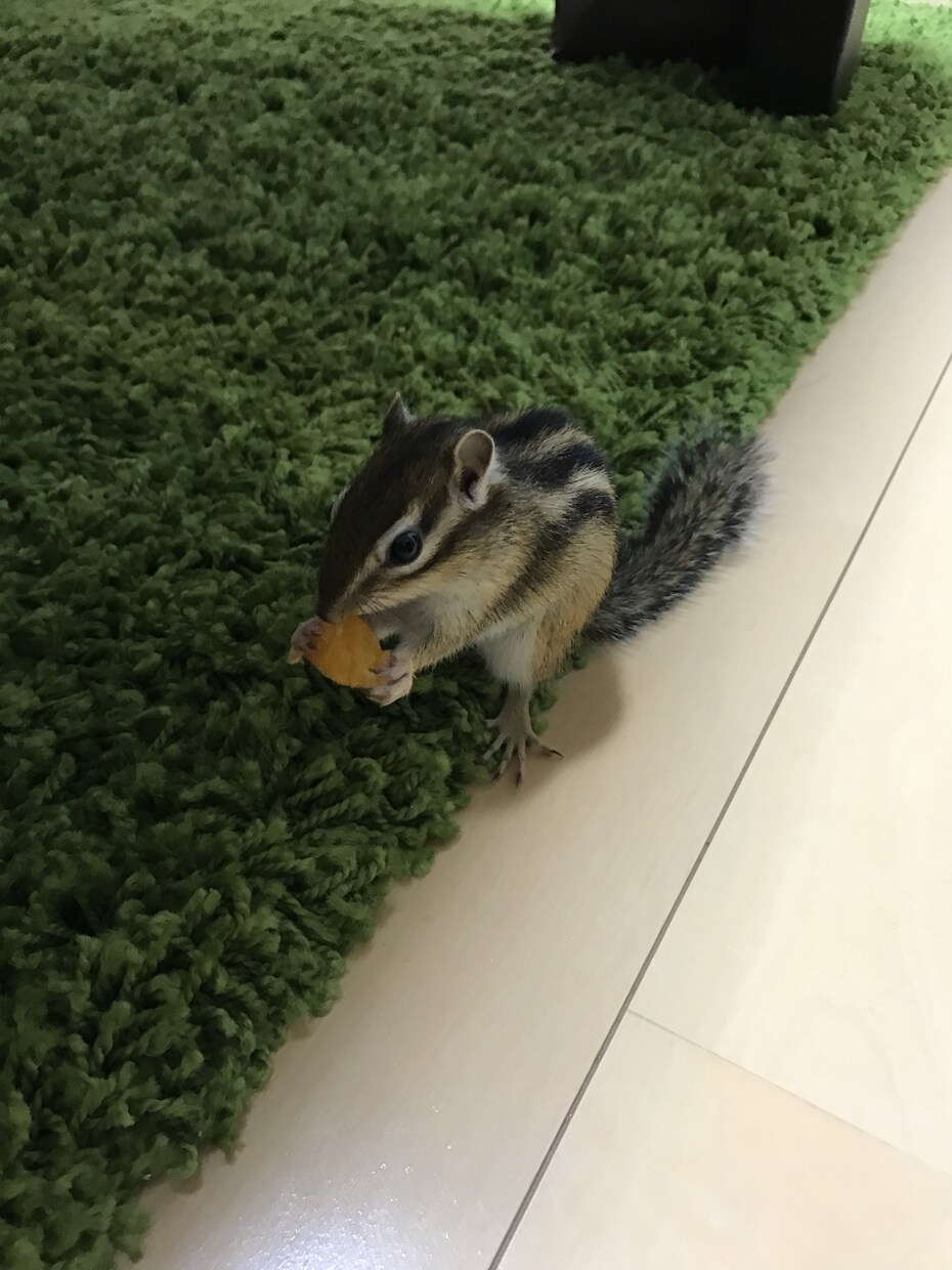 仕事の悩みを整理し次の一手を決めます 精神的に病んでしまう前に、お話し聞きますよ イメージ3
