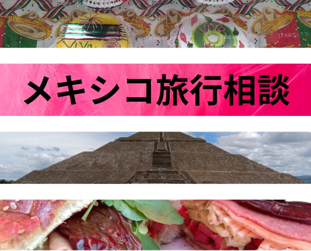 初めてでも安心、メキシコシティの旅ご相談承ります 現地ガイドの情報、ビデオ後に質問1往復つき（プラン作成可） イメージ1