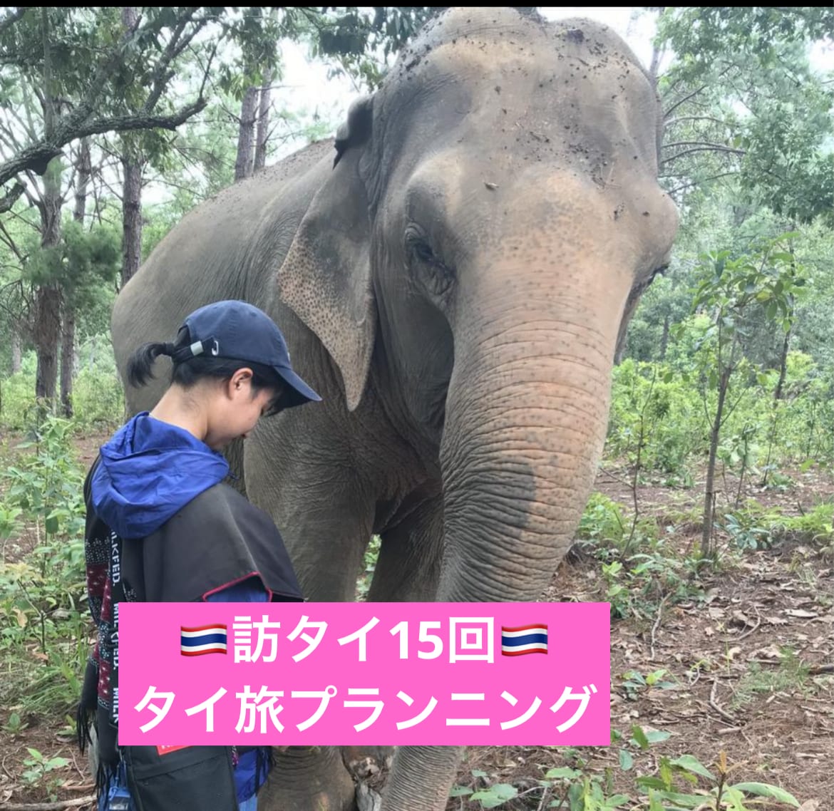 ビギナーさんのタイ旅を一緒に考えます 訪タイ歴15回、子連れ・1人旅・友人旅での経験をシェアします イメージ1