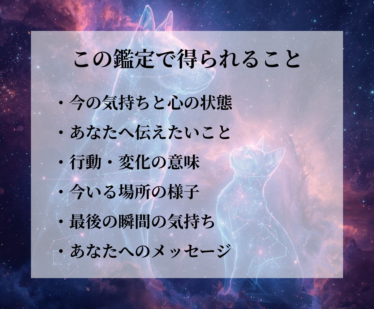 ペットが今あなたに届けたい想いを読み解きます あの子の本音や願いが分かり、後悔なく愛を届けられます イメージ3