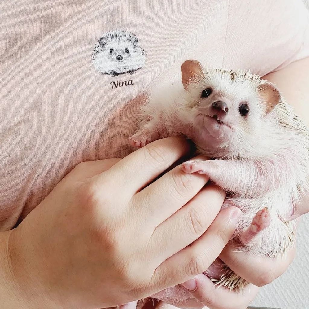 うちの子グッズ・T-shirt ペット 作成します ペットの写真を 油絵風のモノクロ画に加工してプリント♪ イメージ5