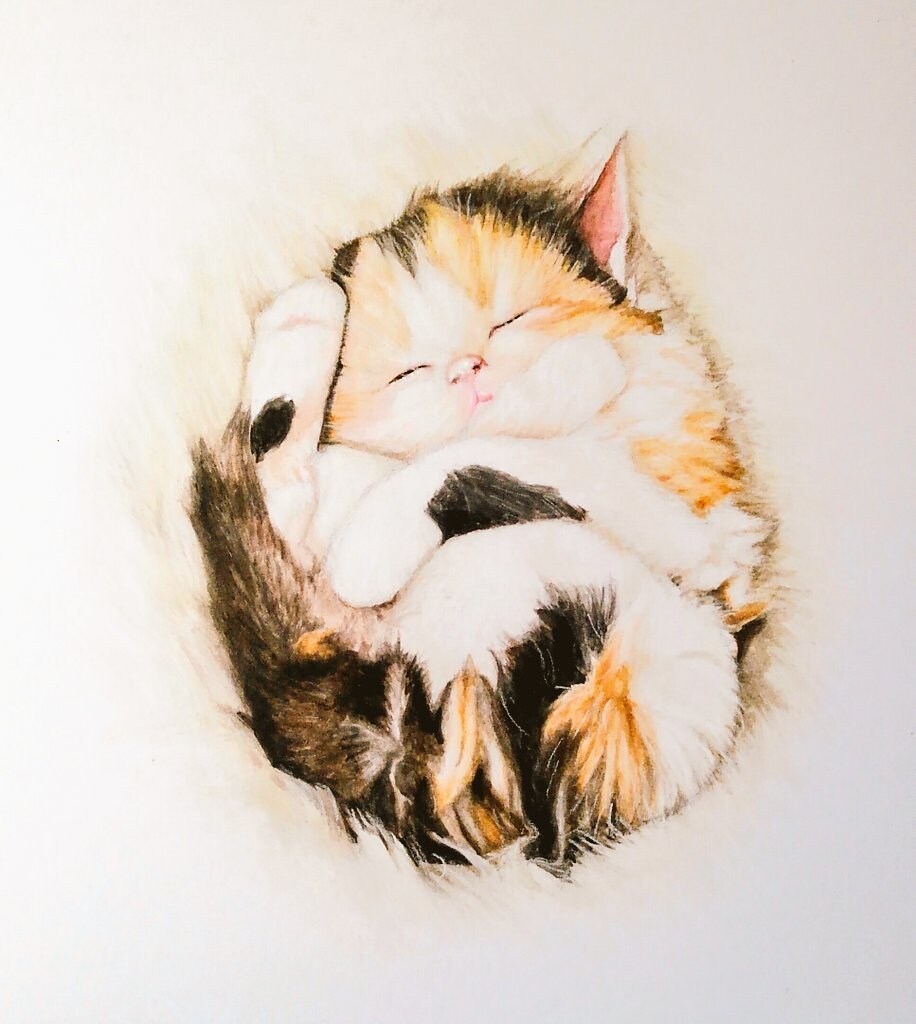 大切な動物(家族)を可愛く描きます リアル系のタッチで明るいイラストに仕上げます♡ イメージ9