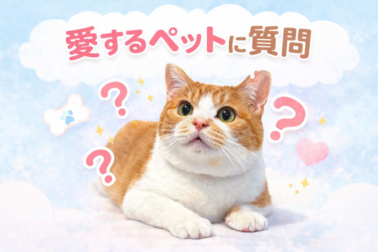 ペットちゃんに気になることを質問できます 不安やモヤモヤを安心へ変えるひととき イメージ4
