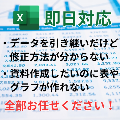 超優良‼Excelの基礎から応用教えます 確実に事務レベル以上の技術まで向上させます イメージ2