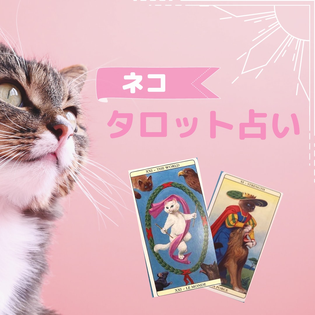 相談2つまでOK！ネコタロット78枚で占います かわいくてちょっとクールなネコたちがあなたを笑顔にします イメージ1