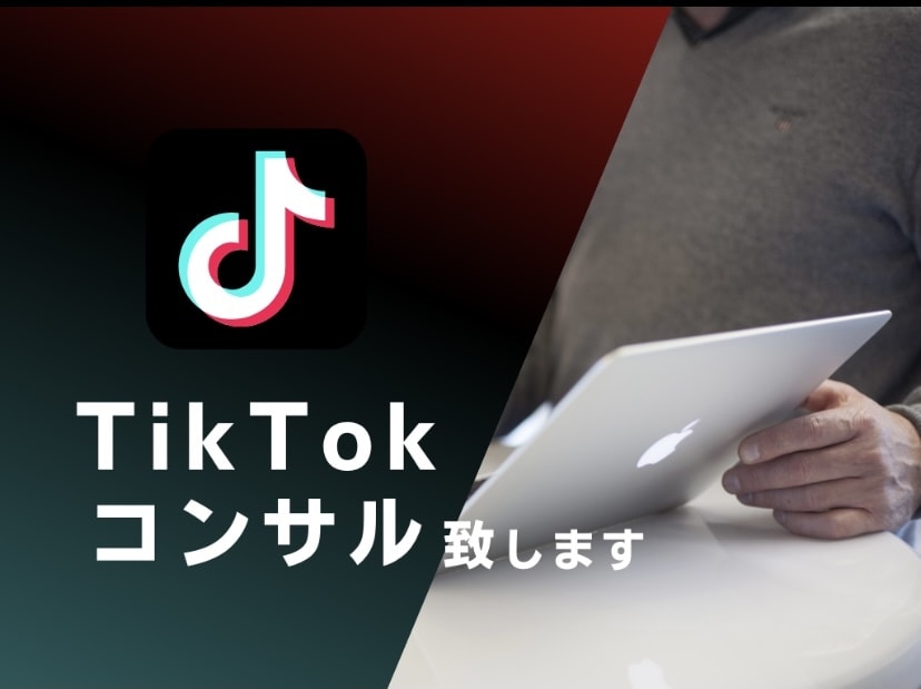 フォロワー17万人がTikTokコンサルします ノウハウを全てお伝えします。僕と一緒に企画を考えませんか？ イメージ1