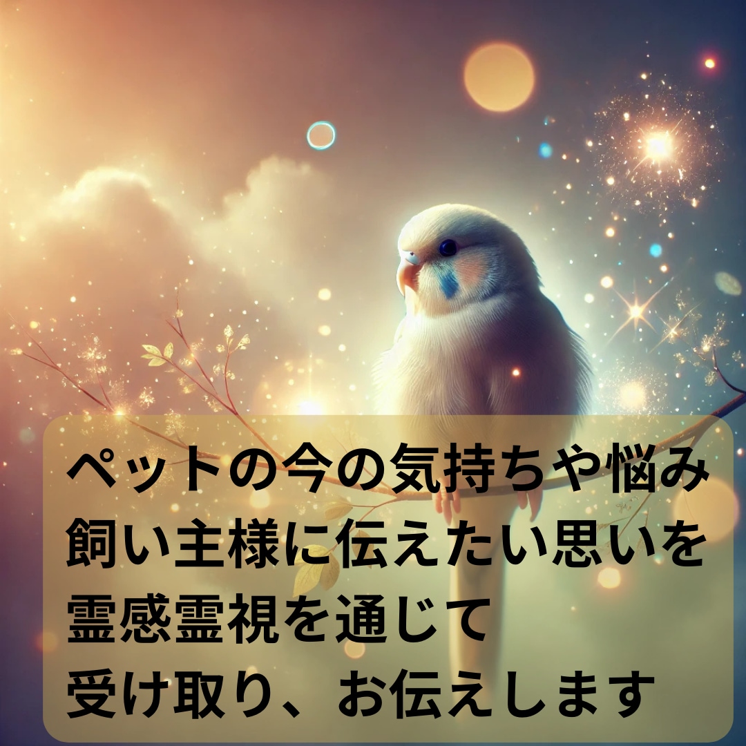 霊感霊視と四占術でペットの気持ちを精密に視ます 大切な家族の気質や本音をロジカルに分析し絆を深めます イメージ4