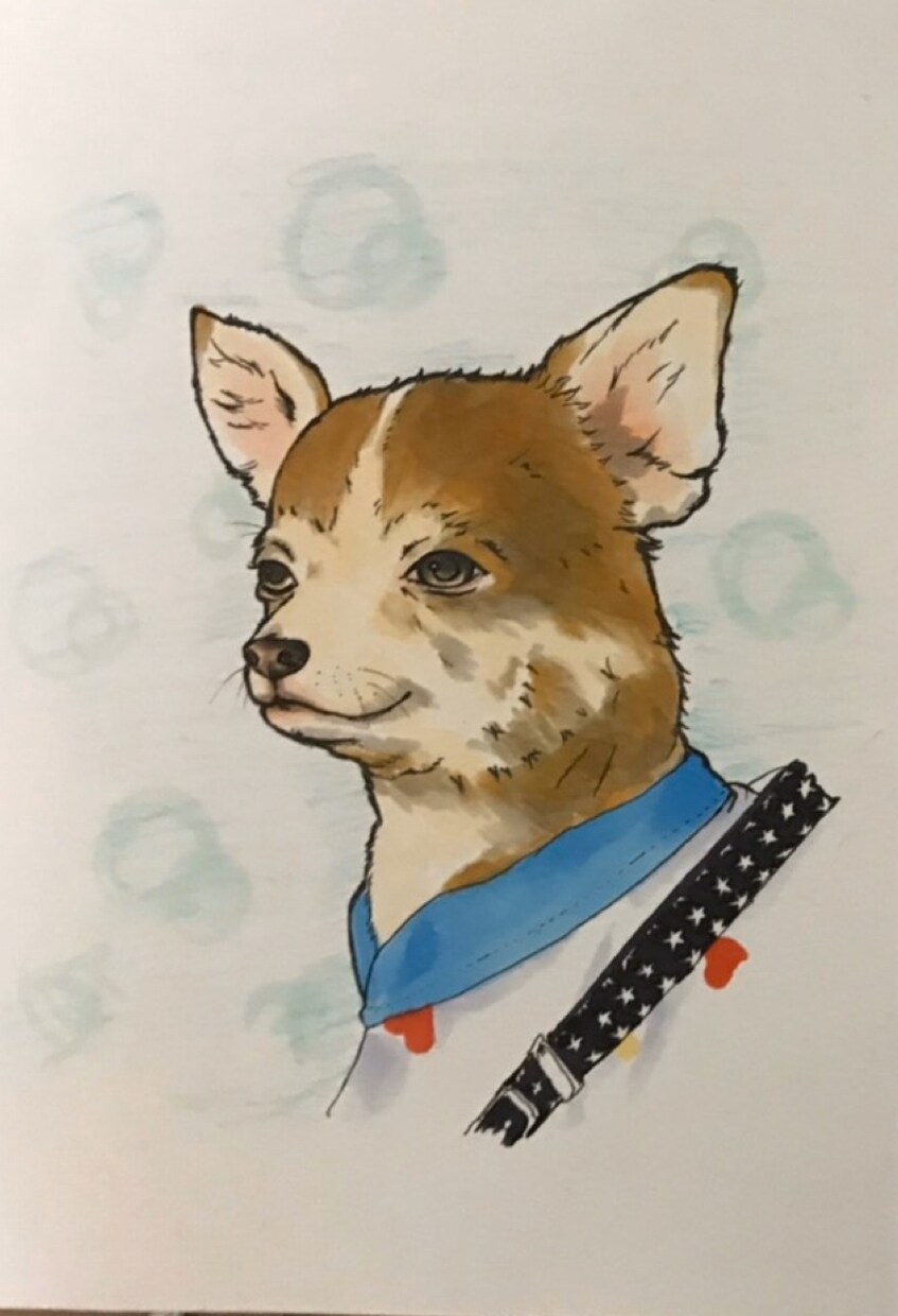 似顔絵＊ウエディング＊ペット等手書き郵送します 似顔絵、ウエルカムボード 、ペット等手書きで郵送いたします！ イメージ4