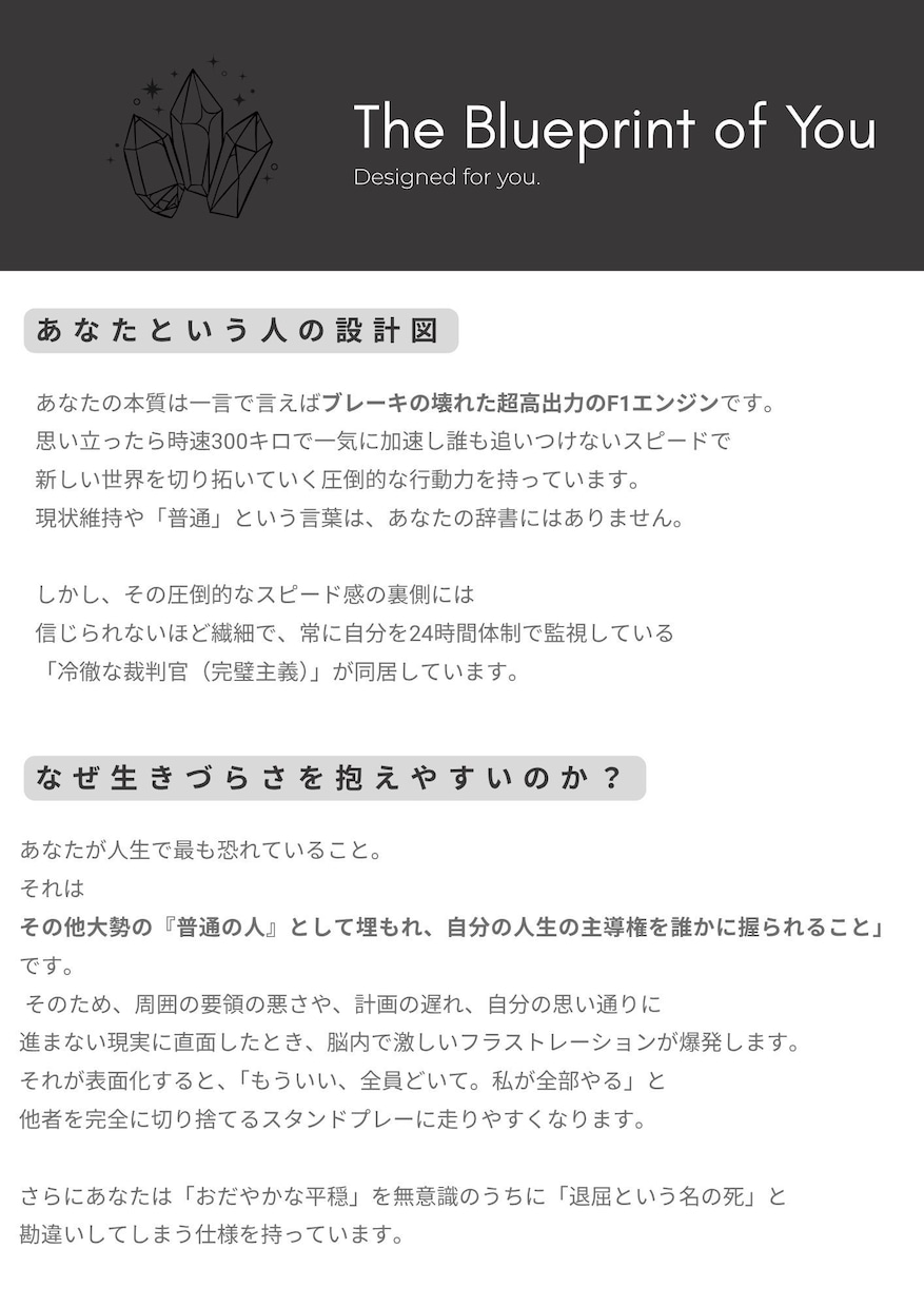 あなたという人の取扱説明書／1万字で解き明かします 人生の設計図を完全解剖◆大ボリューム1万字で占います！ イメージ2