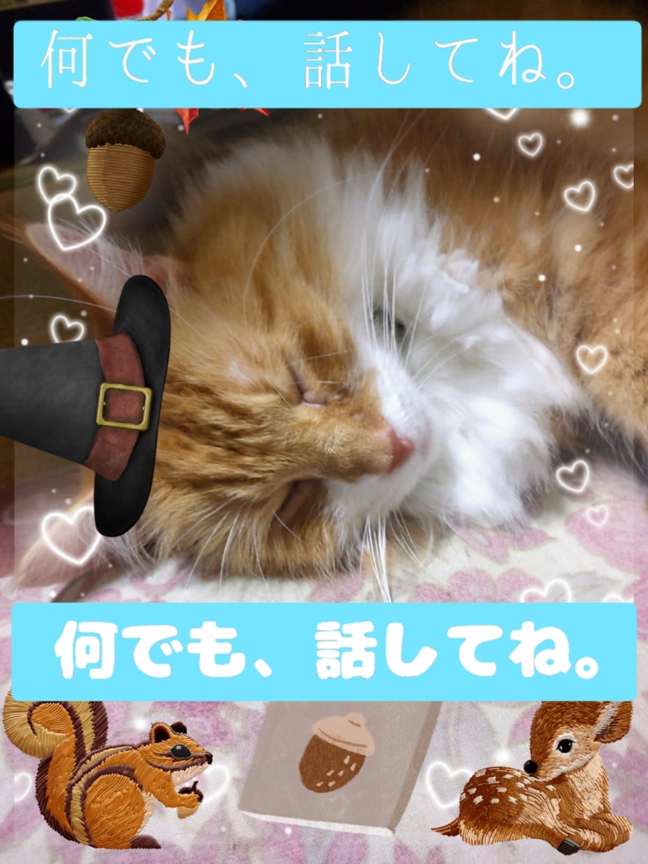 自分の家の猫に話すように、何でも話を、聴きます ペットに話しかけるような感じて、何でも話してね。 イメージ1