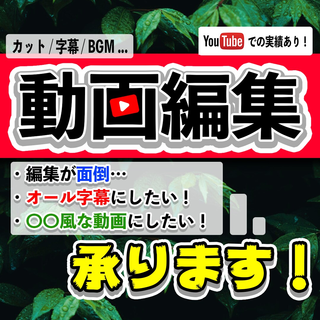 YouTuberの様な動画編集を承ります YouTube歴９年の男に、お任せください！ イメージ1