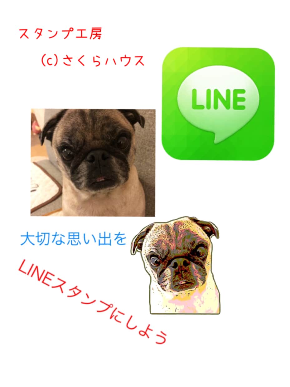 LINEスタンプ42個作成！大切なペットの写真をスタンプに致します(^^) 販売まで全てお任せ！ イメージ1