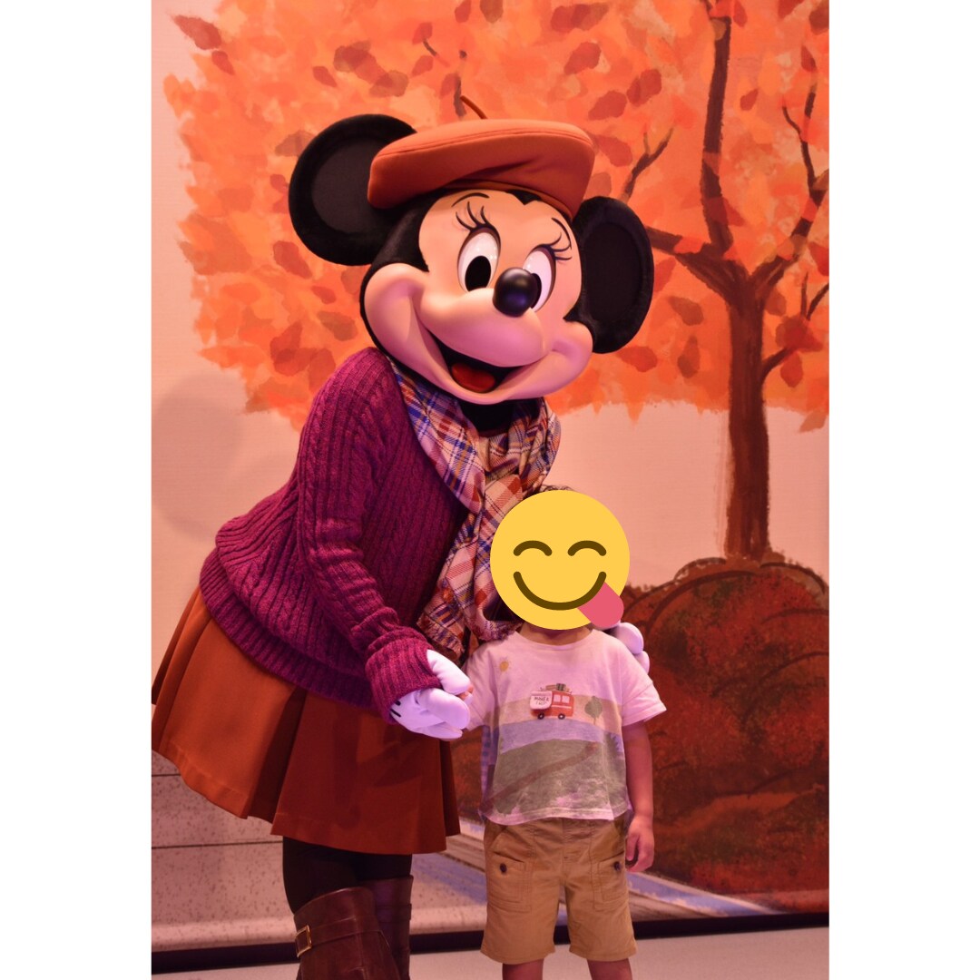 4才2才子連れキャストがディズニープランを考えます 元キャスト　元年パス所持　4才2才子供　ホテル制覇　最短1日 イメージ8