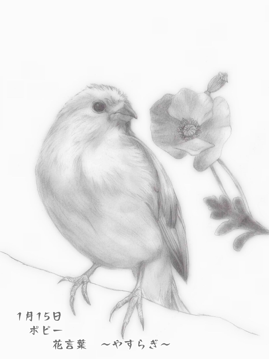 可愛い「ウチの子」を誕生花と共にお描きします 大事なペットのお顔を誕生花を添えて鉛筆画に イメージ4