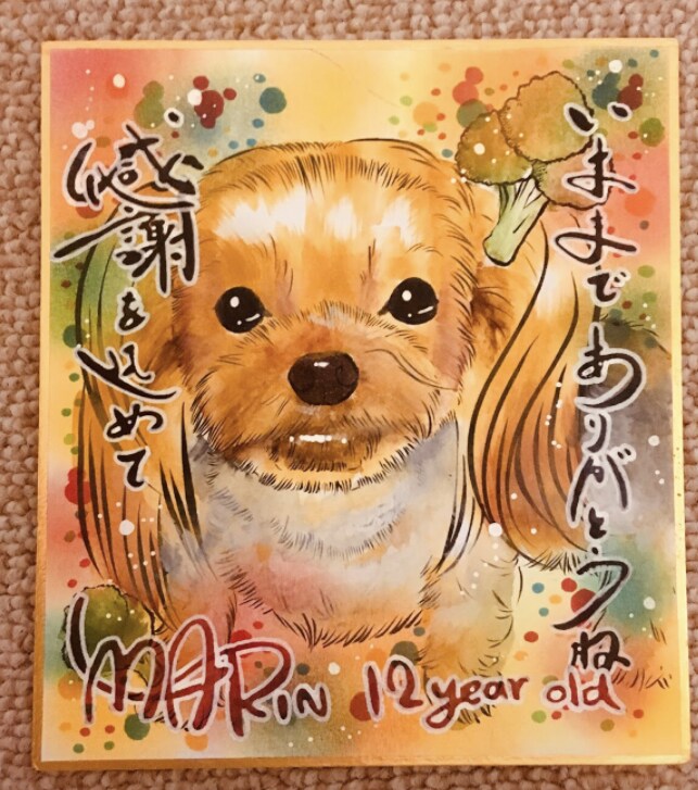 似顔絵✨描きます 心の籠った世界に一つだけのオリジナル！ イメージ3